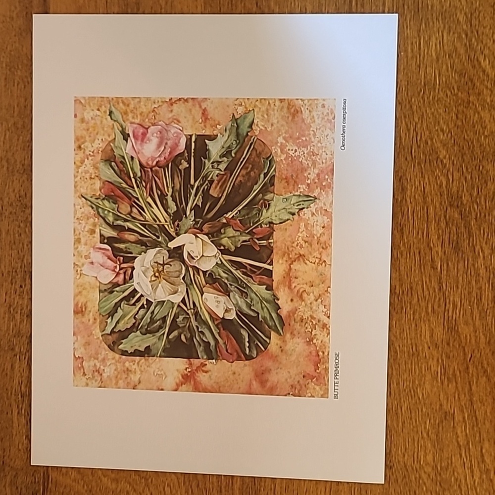VIVIAN THIERFELDER VINTAGE FLORAL ART PRINTS, Unframed - Picture 6 of 16